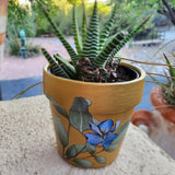 Glam Pots & Succulent Workshop