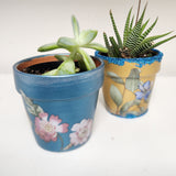 Glam Pots & Succulent Workshop